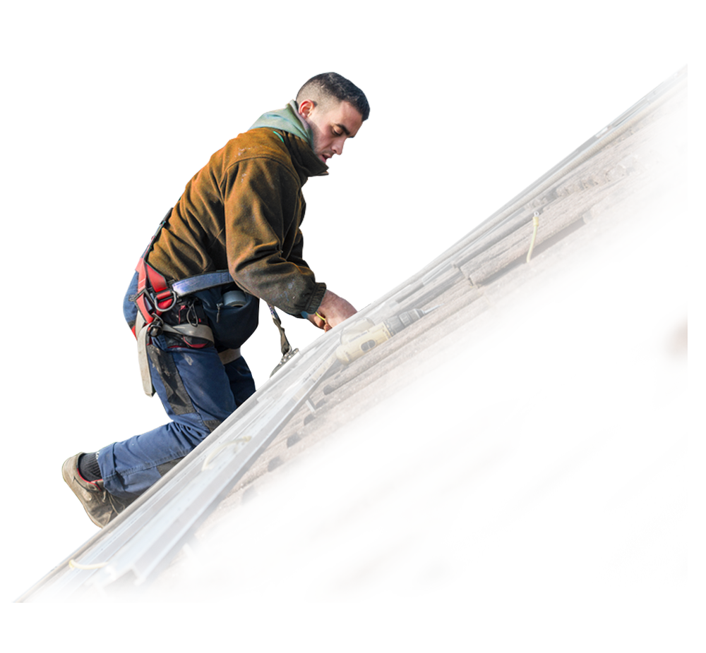 Limpieza Domestica Madrid