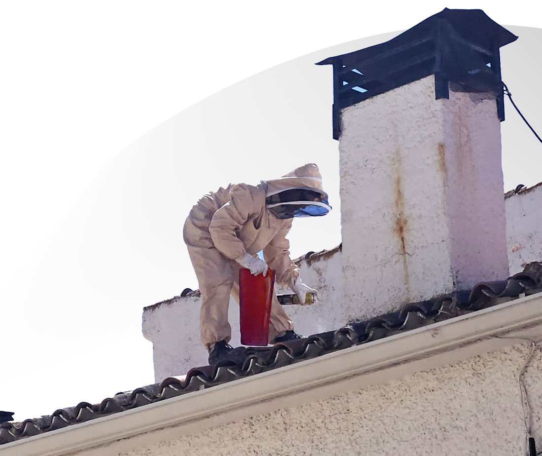 Presupuesto de mantenimiento tejados madrid