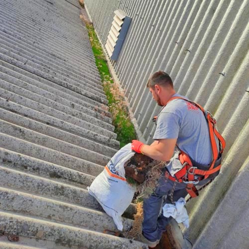 Limpieza canalones madrid precio